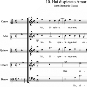 Hai dispietato Amor (Casulana)