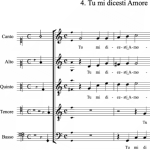 Tu mi dicesti Amore (Casulana)